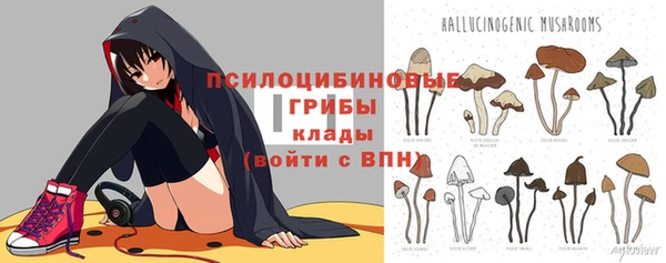 синтетический гашиш Алексин