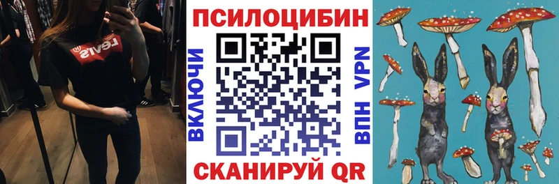 блэк спрут зеркало  Жуковский  Псилоцибиновые грибы GOLDEN TEACHER  что такое  